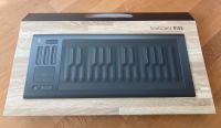 Roli- Seaboard Rise 25 Kreis Pinneberg - Schenefeld Vorschau