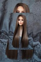 Perücke Front Lace Wig dunkeblond ombre karamell hellbraun glatt Leipzig - Leipzig, Zentrum Vorschau