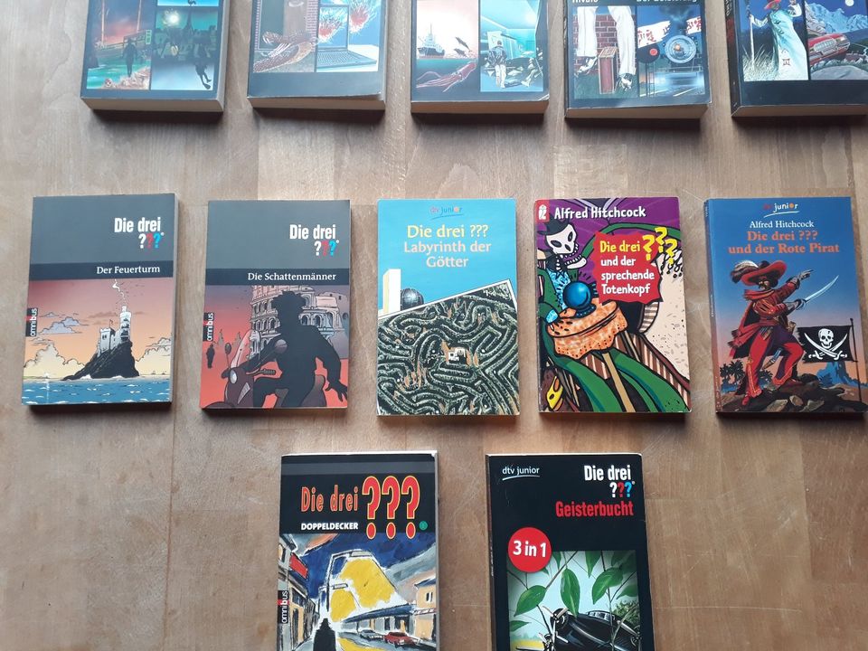 14 Taschenbücher "Die drei ???" in Boizenburg/Elbe