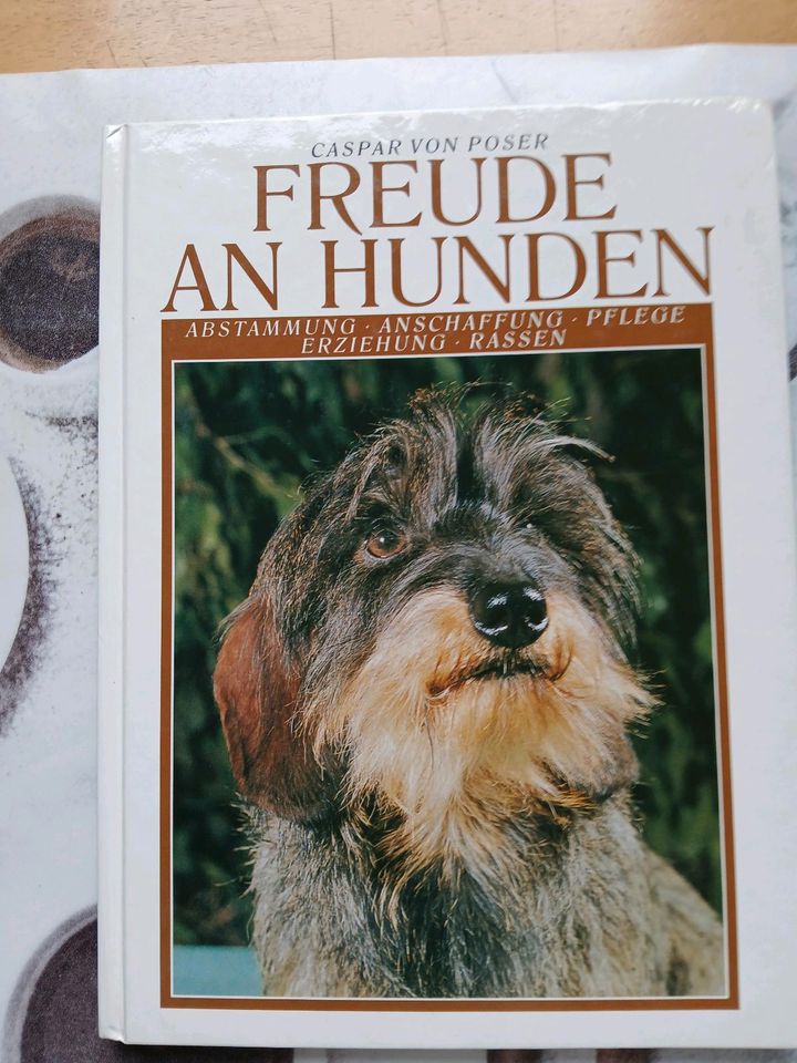 Hundebuch: Freude an Hunden von 1991 in Hürth