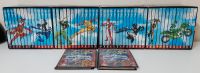 Power Rangers DVD Sammlung komplett inkl. Sammelkarten Nürnberg (Mittelfr) - Mitte Vorschau