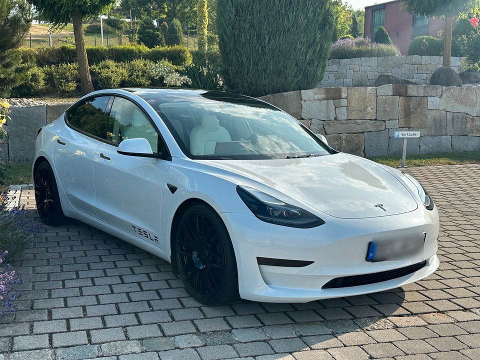 Tesla Model 3 SR+ 20 Zoll weiß/weiß in Osterhofen