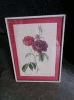  wunderschönes altes Bild " Rosen  "  Düsseldorf - Oberbilk Vorschau