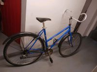 Peugeot Trekkingrad 28 Zoll Damenrad Bastlerrad Nordrhein-Westfalen - Brühl Vorschau