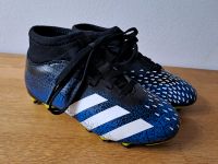 Fussballschuhe Adidas Predator freak.4 Rheinland-Pfalz - Hattert Vorschau