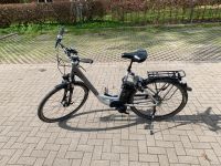 E-Bike Kalkhoff Fahrrad Damenrad Schleswig-Holstein - Ahlefeld-Bistensee Vorschau