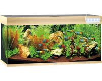 Aquarium JUWEL Rio 180 mit LED-Beleuchtung, Pumpe, Filter, Heizer Niedersachsen - Garbsen Vorschau