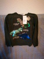 H&M Kinder Dino Pullover grün interaktiv größe 134 Berlin - Mitte Vorschau