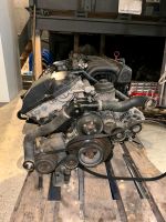 BMW E36 328i Motor M52B28 M50Ansaugbrücke M3 Fächerkrümmer Nordrhein-Westfalen - Rietberg Vorschau