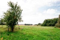 Attraktives Landhaus (Reetdach) in Alleinlage und Ostseenähe mit arrondierten Weideflächen Bad Doberan - Landkreis - Zweedorf Vorschau