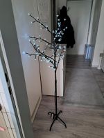 Lichter Baum Nordrhein-Westfalen - Hagen Vorschau