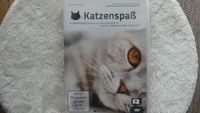 Katzenspaß DVD für die Katze Berlin - Spandau Vorschau