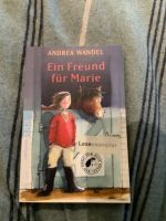 Buch für Pferde Mädchen Ein Freund für Marie von Andrea Wandel Schleswig-Holstein - Bovenau Vorschau