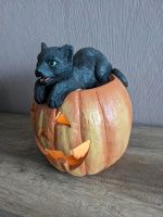 Halloween Kürbis mit Katze Sachsen-Anhalt - Halle Vorschau