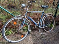 28er Herrenrad Fahrrad oldtimer Vaterland Niedersachsen - Salzgitter Vorschau