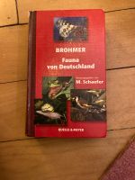 Brohmer Fauna Deutschland Eimsbüttel - Hamburg Stellingen Vorschau