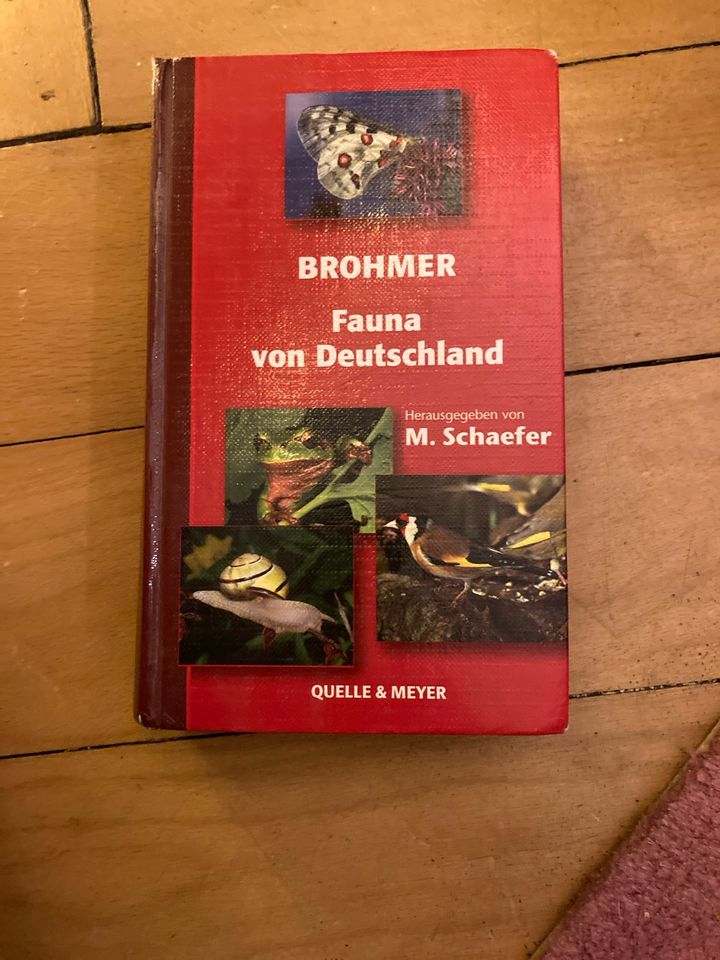 Brohmer Fauna Deutschland in Hamburg