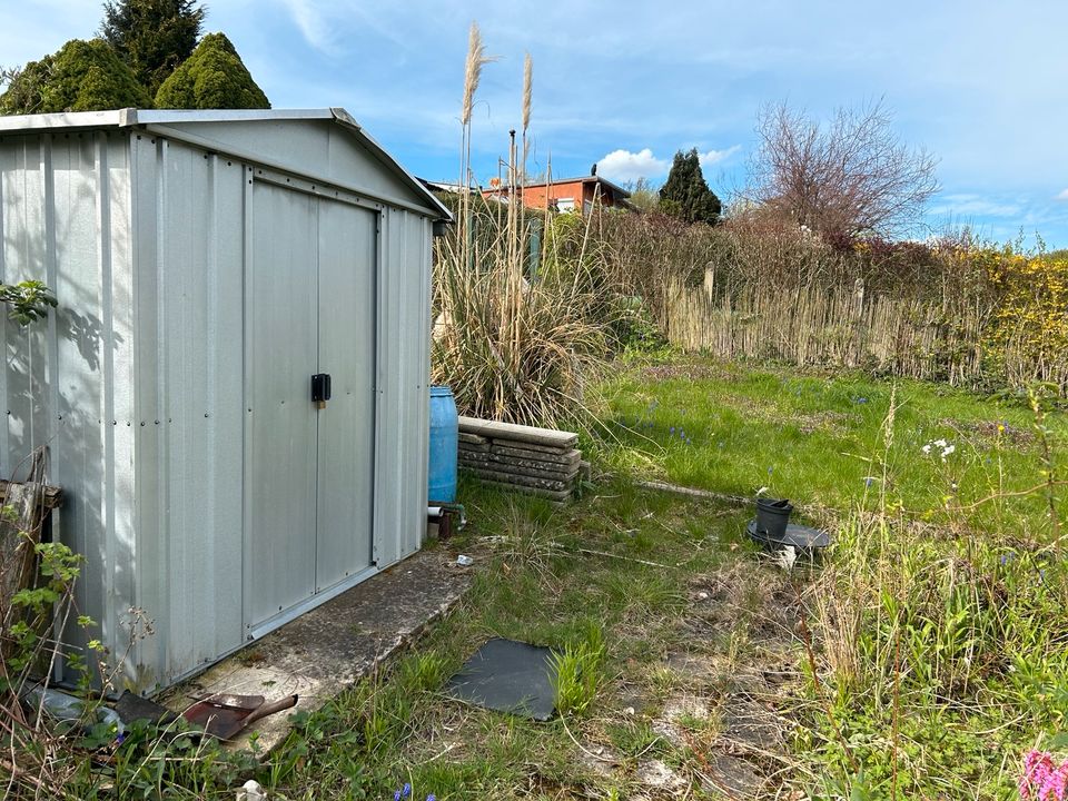 Garten mit massivem Gartenhaus in Doberan Ostseenähe in Bad Doberan