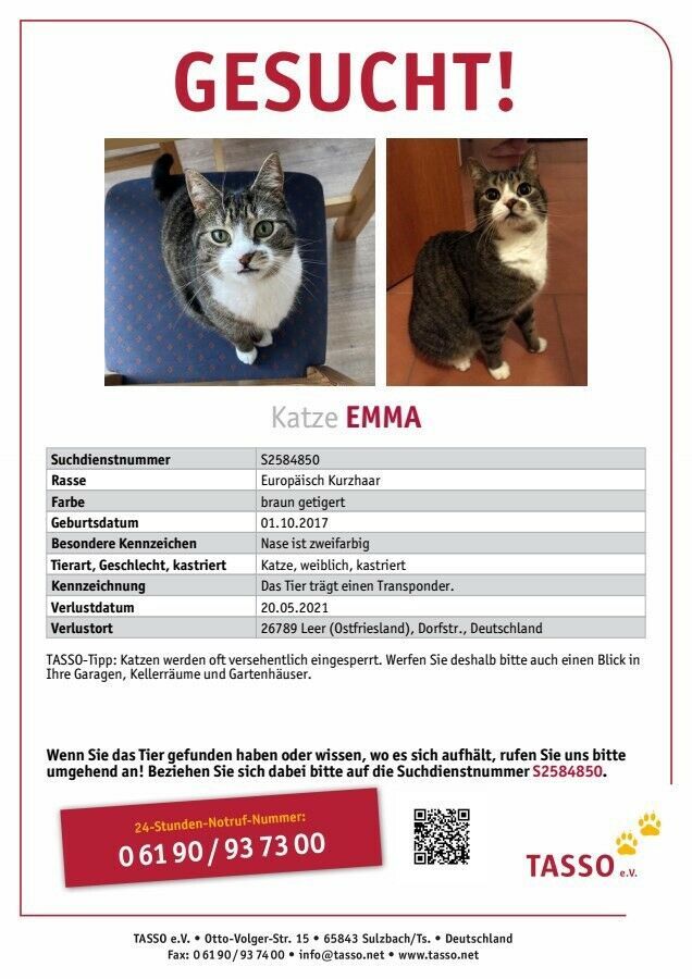 Wir vermissen unsere Katze Emma in Leer (Ostfriesland)