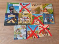 12 Mini-Bücher Dinos, Bauer Hubert, Rabe Socke, Max, Flaps,... Sachsen-Anhalt - Merseburg Vorschau