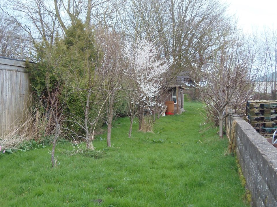 Garten , Lust auf Garten mit schönen Obstbäumen  ca 200 m2 in Meggerdorf