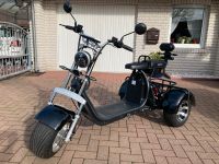 E-Scooter Trike Bile Dreirad 60V 2000W Niedersachsen - Molbergen Vorschau