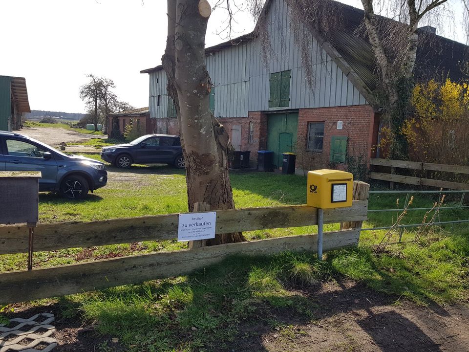 Resthof für Pferdehaltung mit 2 ha Land bei Hamweddel in Hamweddel