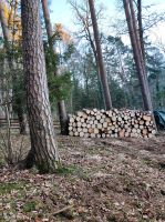 Brennholz/Weichholz Bayern - Dietenhofen Vorschau