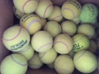 70 Tennisbälle gebraucht für Seniorenheime, Hundeschulen Rheinland-Pfalz - Bad Bergzabern Vorschau