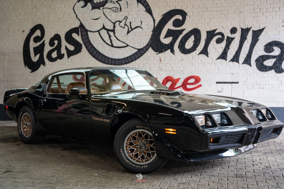 1980 Pontiac Trans AM V8 in Solingen