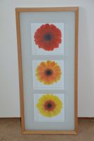 IKEA Bild "Blumen" 72 x 32 cm Niedersachsen - Harsum Vorschau