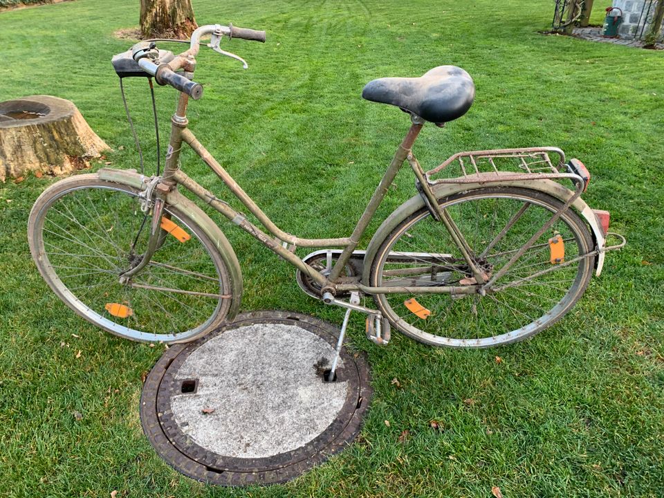 Fahrrad Hollandrad mit Union Tacho Oldtimer in Schneverdingen