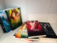 8 Bücher von Ray van Black, Gay Boys Love Fantasy, LGBTQ Nordrhein-Westfalen - Minden Vorschau