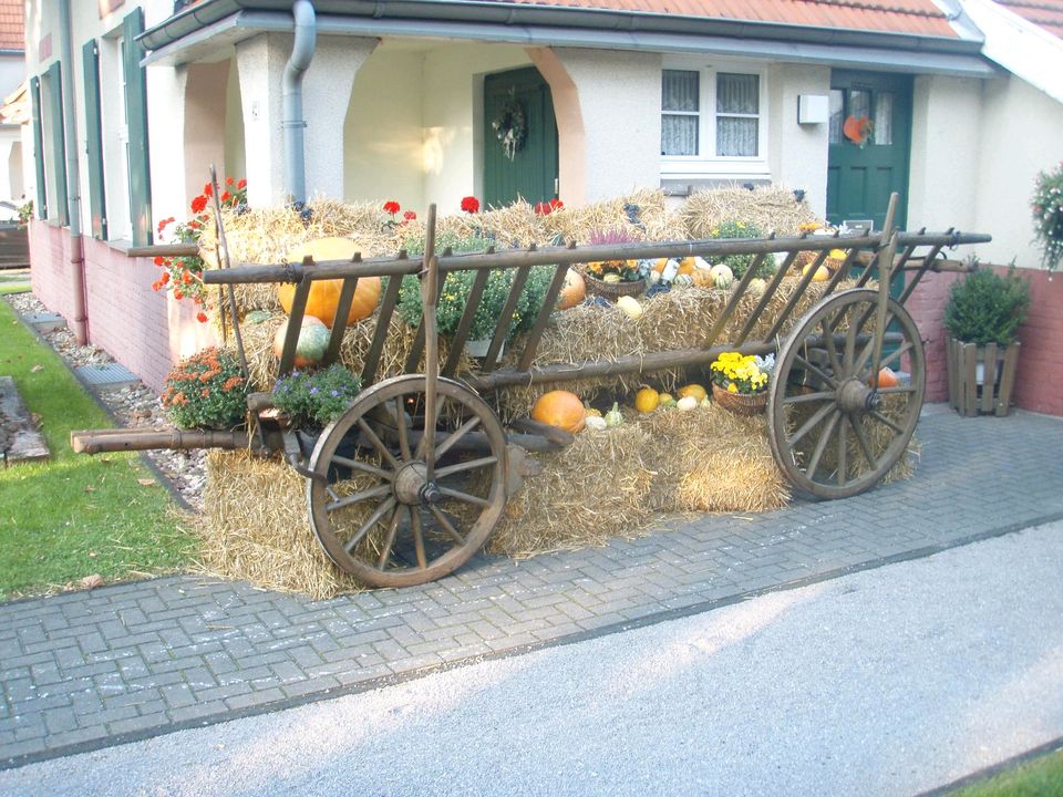 Großer Leiterwagen in Herne