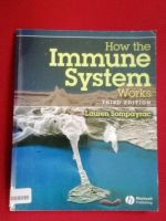 Sompayrac L: How the Immun System works, 3rd Edition, Immunologie Nordrhein-Westfalen - Beverungen Vorschau