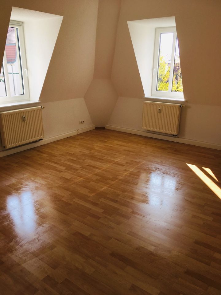 malen,streichen,Wohnung weißen…zu fairen Preisen in Dresden