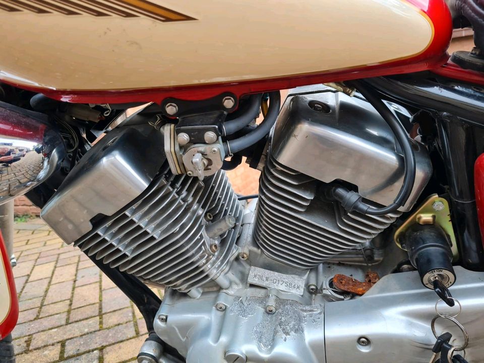 Yamaha Virago XV 250 in Mörfelden-Walldorf