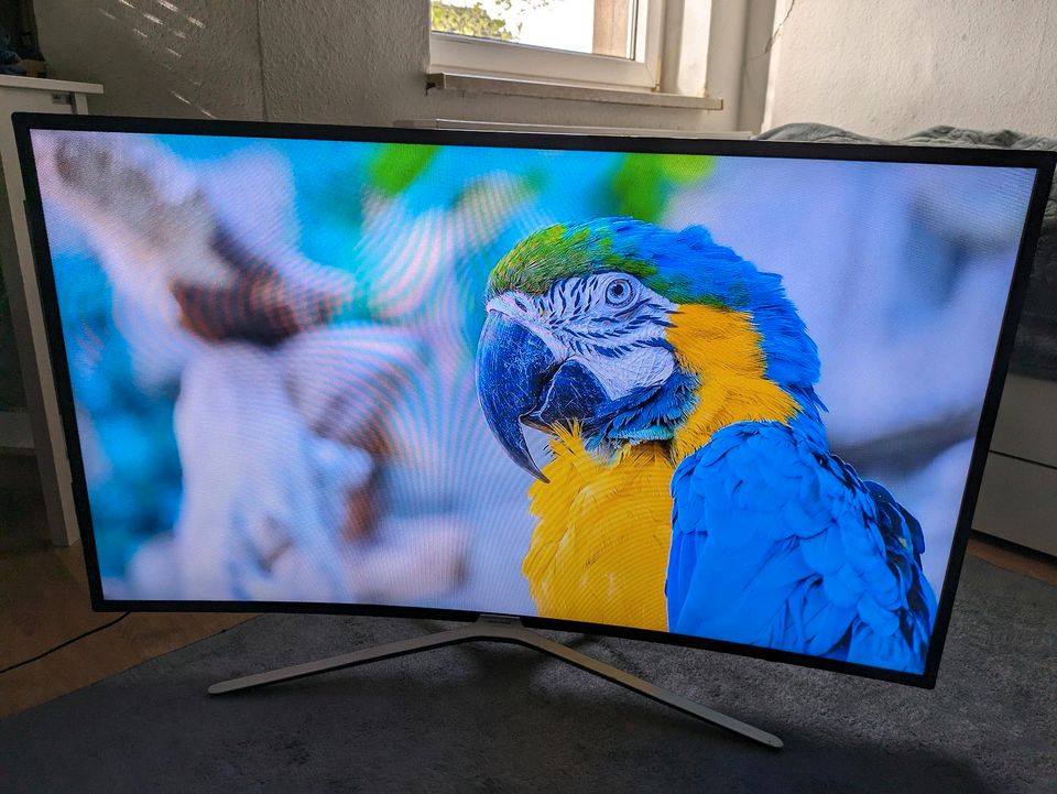 Samsung Smart TV 49 Zoll Curved in Bottrop