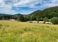 Pferdebox zu vermieten Nordrhein-Westfalen - Bad Laasphe Vorschau