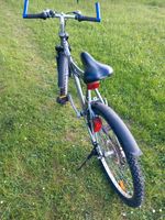 Touren fahrrad Sachsen - Langenbernsdorf Vorschau