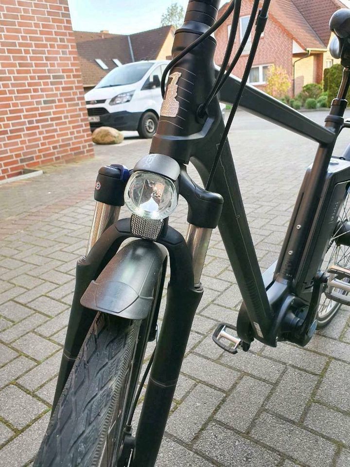 Raleigh E-Bike Herren Pedelec top Zustand in Lindern (Oldenburg)