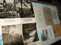 14 x DDR Postkarte / Sprüche Wünsche Blumen Natur alle ungelaufen Dresden - Loschwitz Vorschau