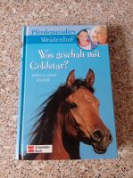Was geschah mit Goldstar? Pferdebuch Hessen - Höchst im Odenwald Vorschau