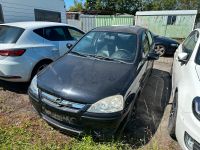 OPEL CORSA C 1.2 Benzin / TÜV BIS 12.2024 Baden-Württemberg - Sinsheim Vorschau