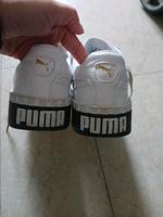 Puma Schuhe Nordrhein-Westfalen - Altenbeken Vorschau