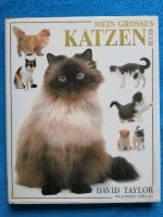 Mein großes Katzen Buch isbn 3893503854 Brandenburg - Panketal Vorschau