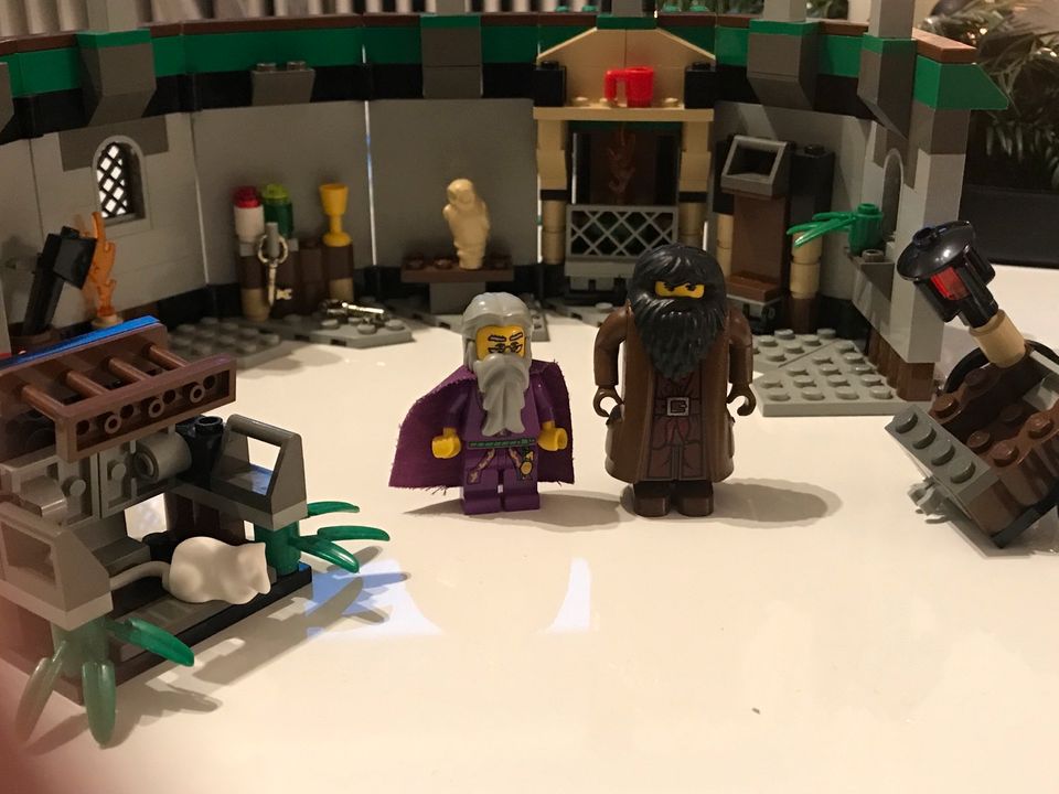 LEGO Harry Potter Hagrids Hütte 100% vollständig in Wendisch Evern