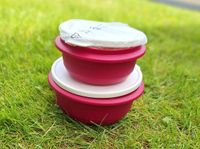 Rührschüssel Pro 1l & 2l von Tupperware Hessen - Gründau Vorschau