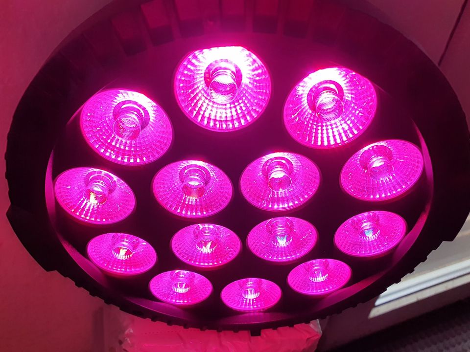 vermiete 4x LED Partylicht mit je 270 Watt , inkl. Stativ , Sound in Dresden