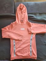 Hoodie Puma beide Gr.164. 25 Euro Frankfurt am Main - Ginnheim Vorschau